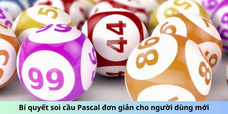 Bí quyết soi cầu Pascal đơn giản cho người dùng mới