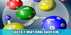 cầu lô 2 nháy rồng bạch kim