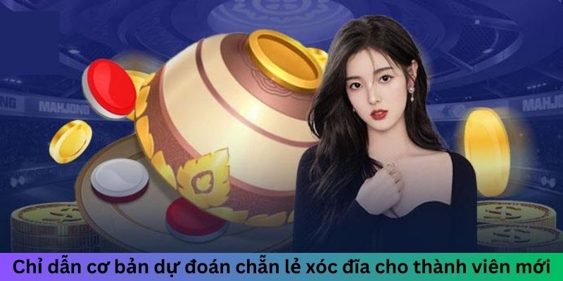 Chỉ dẫn cơ bản dự đoán chẵn lẻ xóc đĩa cho thành viên mới