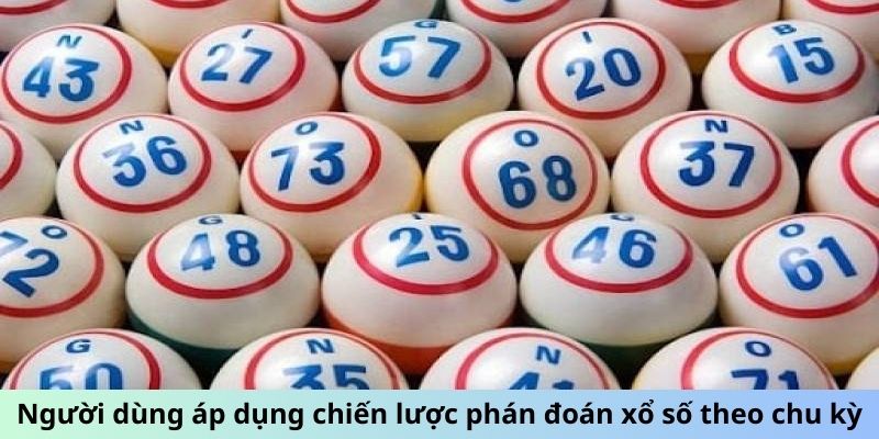 Người dùng áp dụng chiến lược phán đoán xổ số theo chu kỳ