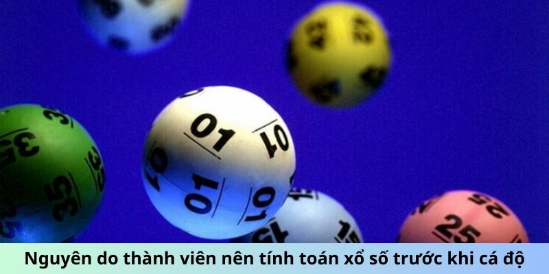 Nguyên do thành viên nên tính toán xổ số trước khi xuống tiền