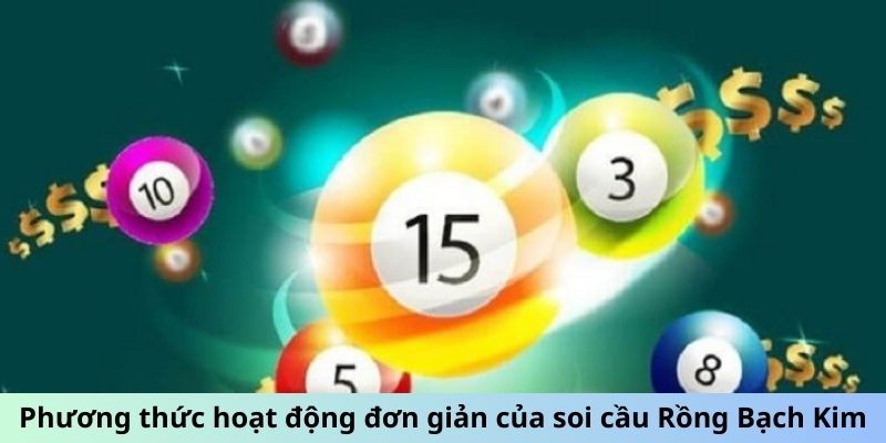 Phương thức hoạt động đơn giản của soi cầu Rồng Bạch Kim