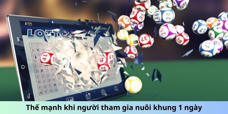 Thế mạnh khi người tham gia nuôi khung 1 ngày