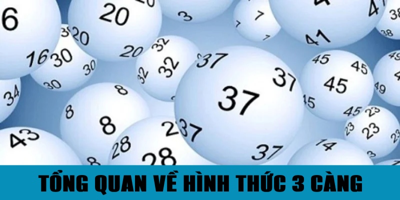 Tổng quan về hình thức 3 càng được mọi người ưa chuộng