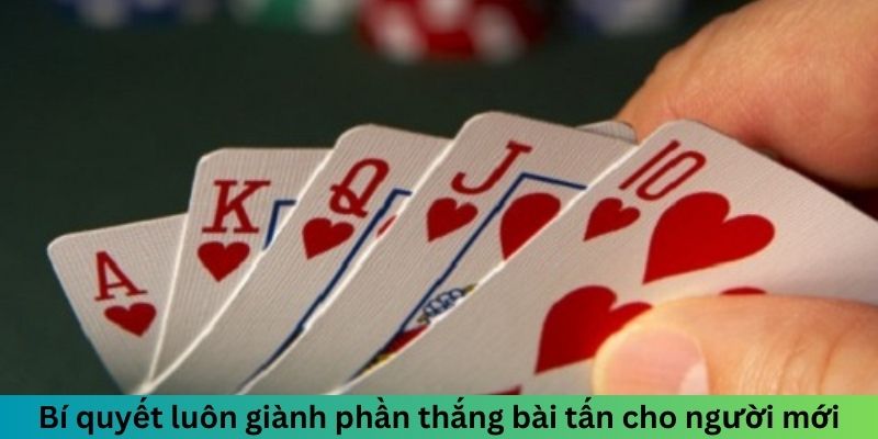 Bí quyết luôn giành phần thắng Bài Tấn cho người mới