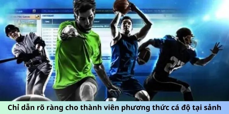 Chỉ dẫn rõ ràng cho thành viên phương thức cá độ tại sảnh