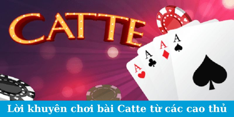 Lời khuyên chơi bài Catte từ các cao thủ