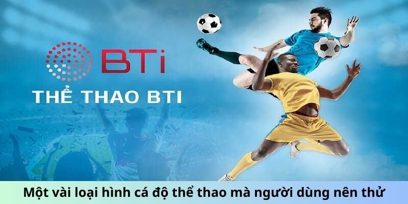 Một vài loại hình cá độ thể thao mà người dùng nên thử