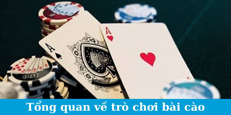 Sơ bộ về trò chơi bài cào